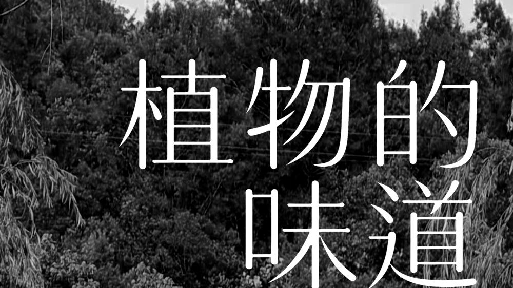 展览预告丨「植物的味道」张卫星植染艺术项目