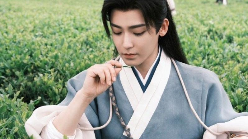 玉茗茶骨陆江来身世，假寒门，真豪门，门当户对荣善宝