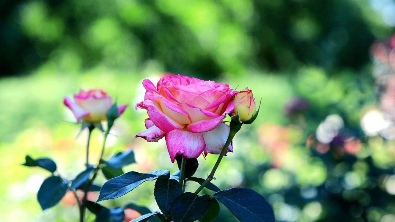 照顾老母亲7年，我终于明白：最孝顺的，也是父母最不待见的