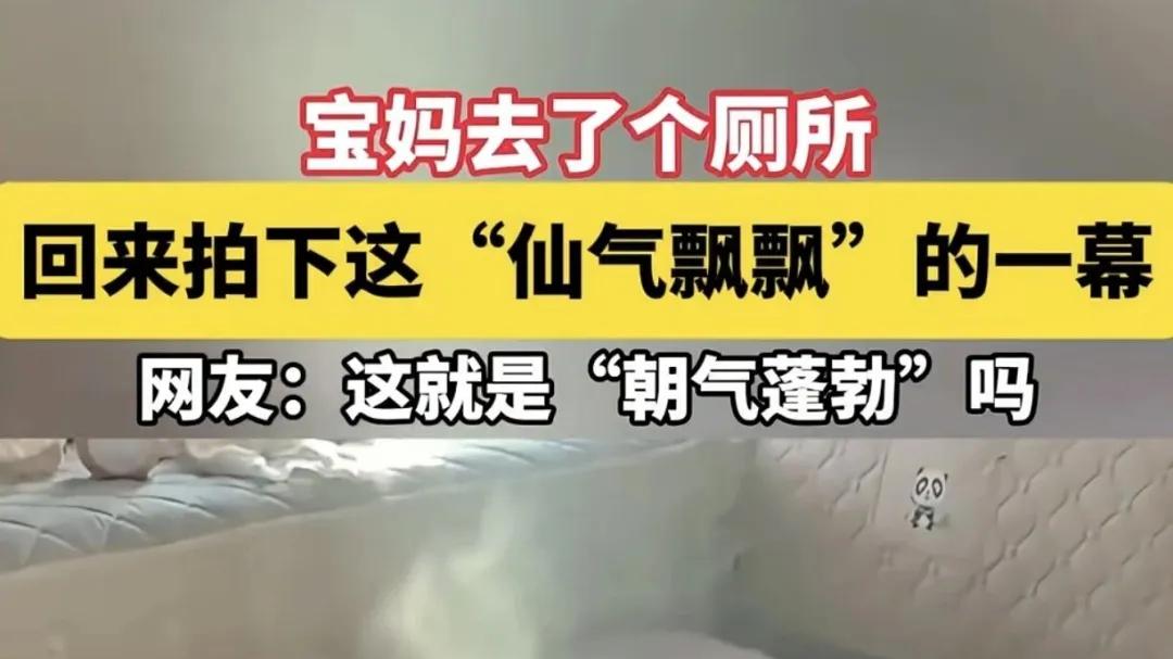 厨房里的修炼：从烧茄子，参透人体气机与“火候”的真谛