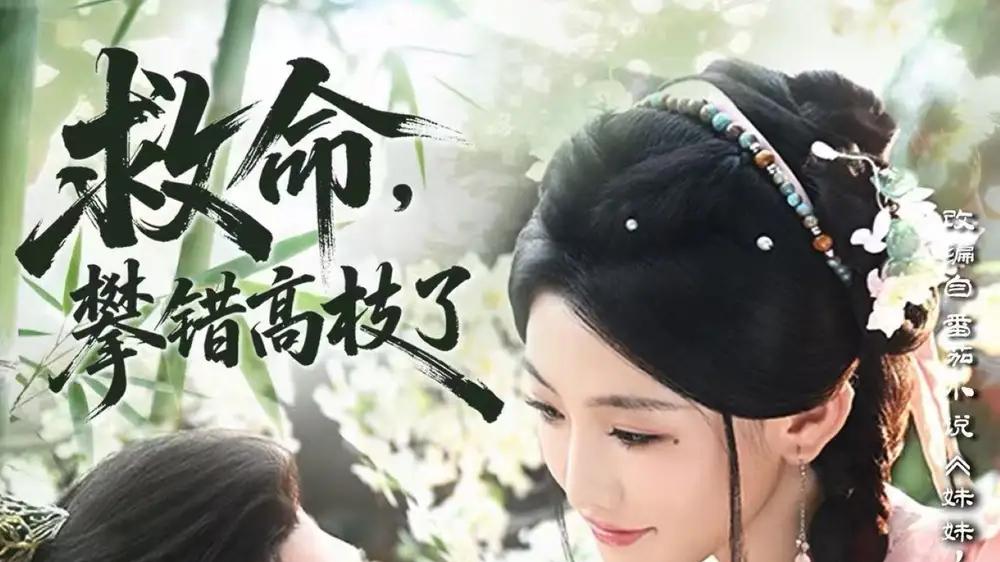 《救命，攀错高枝了》反转不断笑泪交织超上头热剧