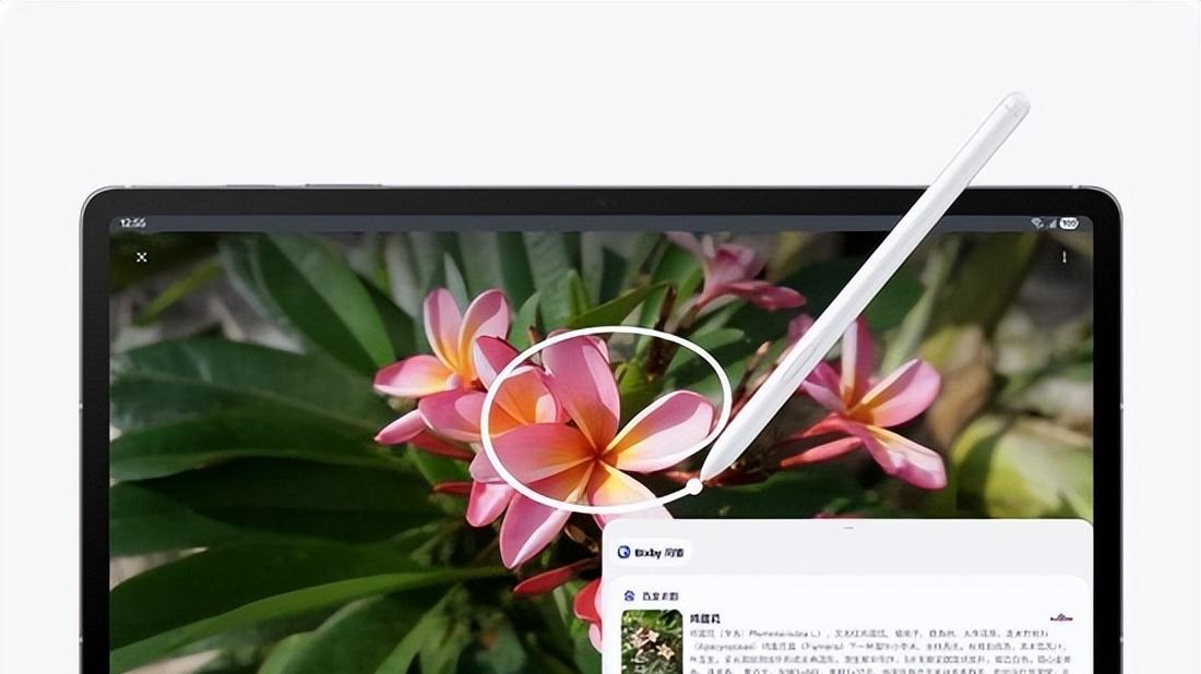用阅读唤醒生活的诗意时刻 三星Galaxy Tab S10 FE系列预售中