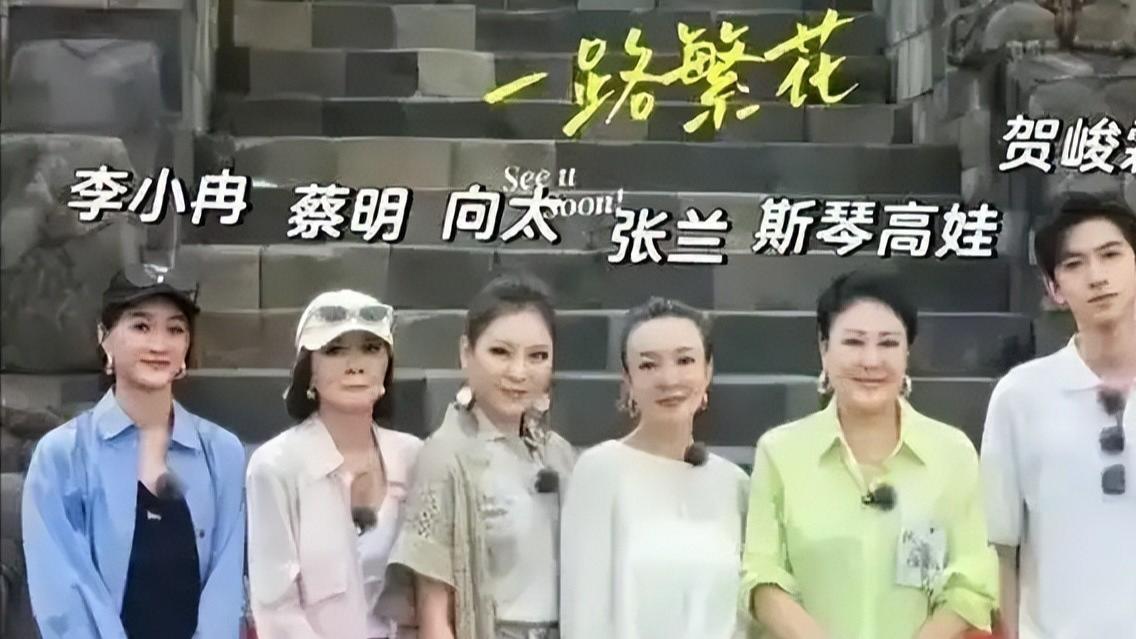 李小冉综艺翻车？这届网友也太难伺候了吧！