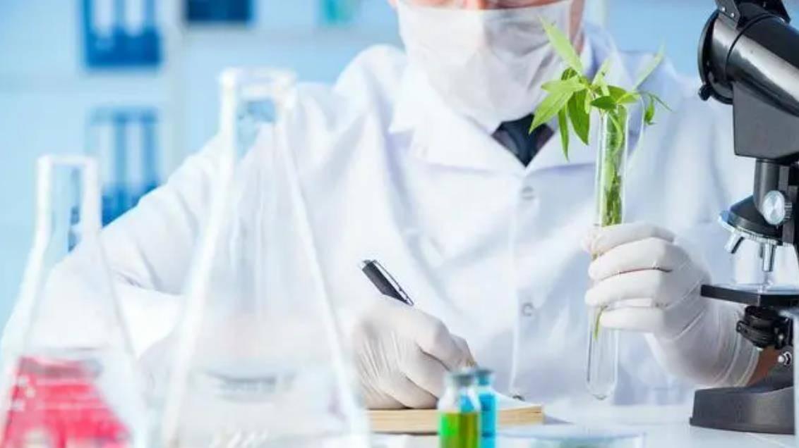 山东稀有高科再获国家级专利 草本萃取技术突破赋能健康新材料产业