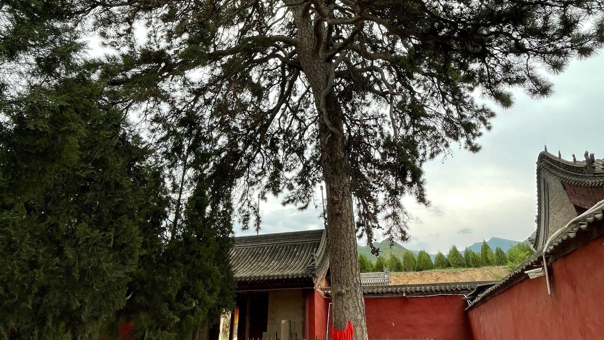 山西乡间艺术秘境，壁画塑雕双绝，探秘公主寺真容