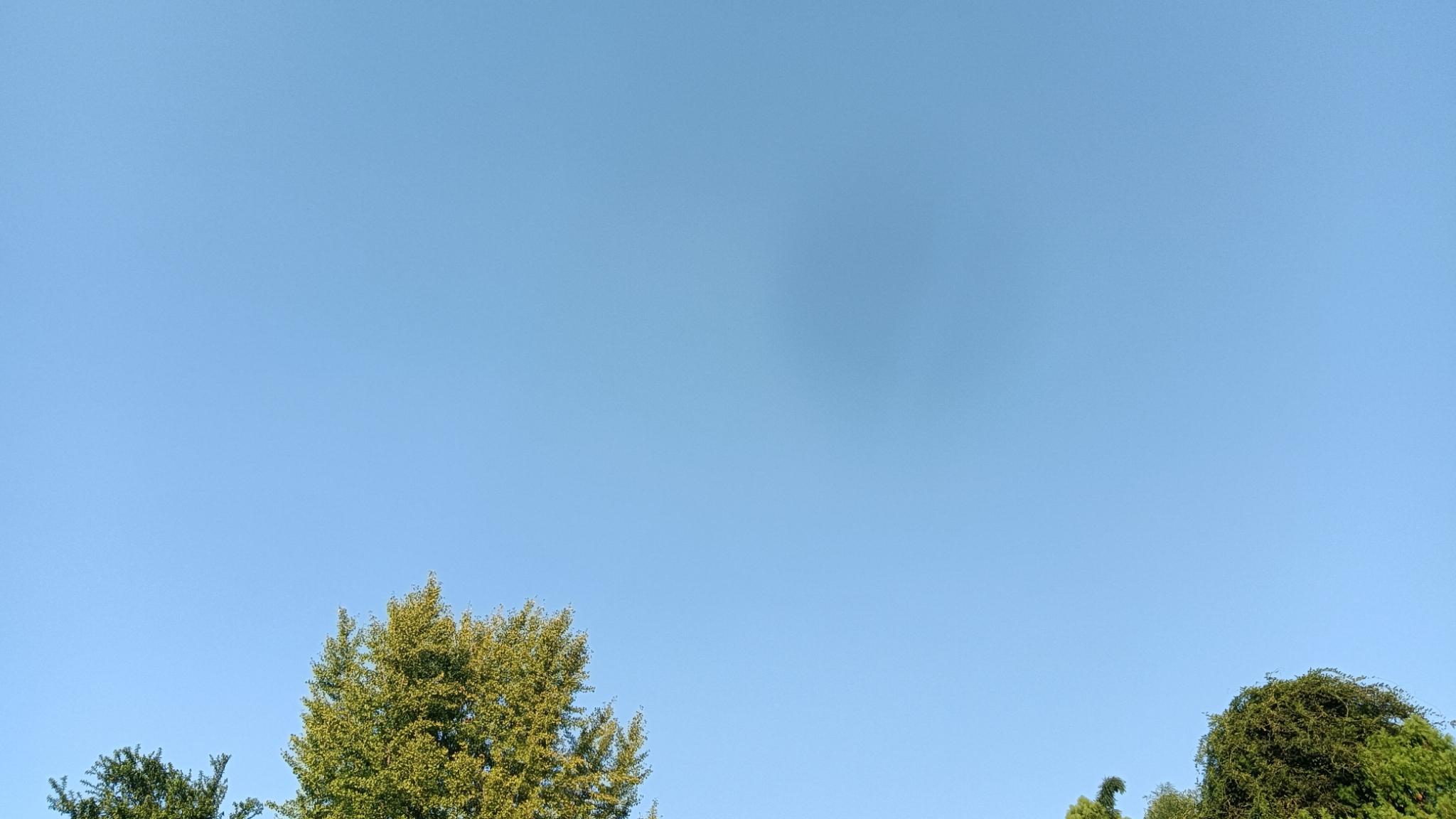 空出的岗位又被延退占用，但如评上，领取高级岗位工资时间会更长