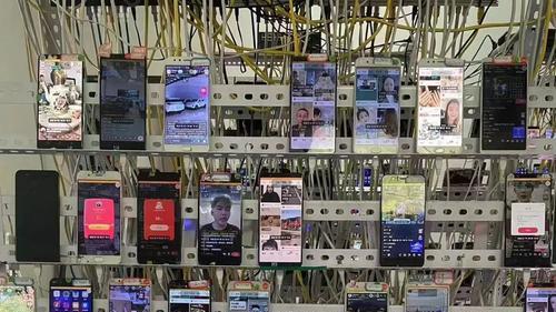 净网 - 2025" 专项行动再添战果！