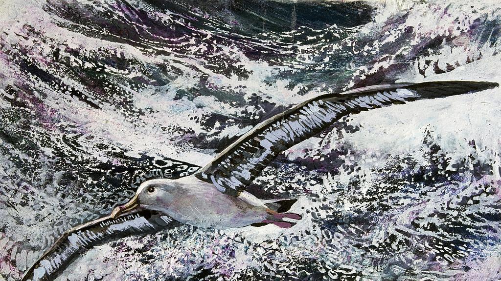 信天翁：环球飞行冠军的翼展与能量管理