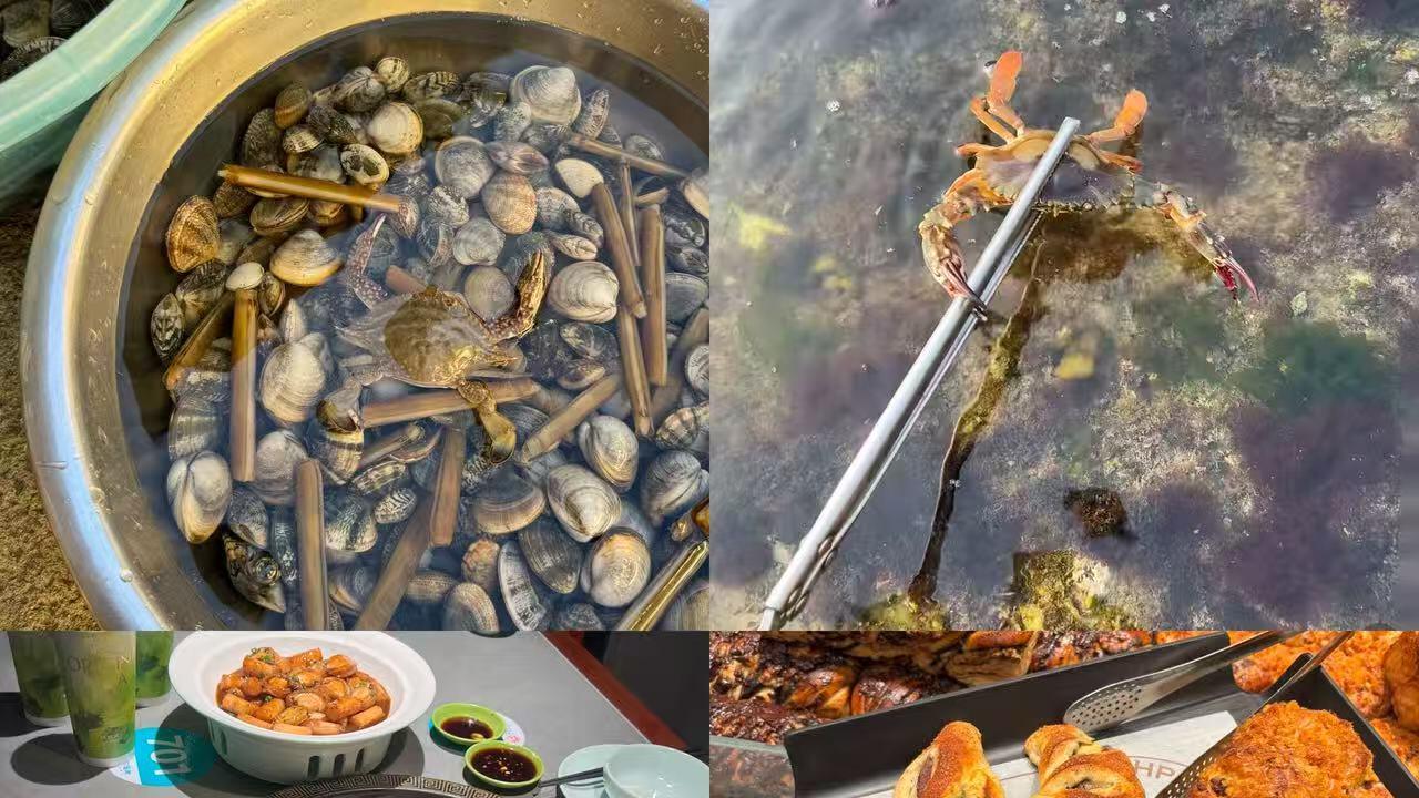 威海旅行赶海攻略，免费挖到停不下来
