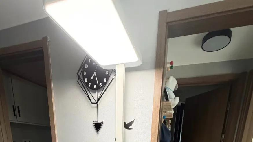 性价比炸裂的大路灯！2米高+60W功率，全新才141块