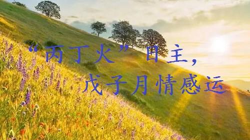 “丙丁火”日主，2025乙巳年十一月，戊子月情感运