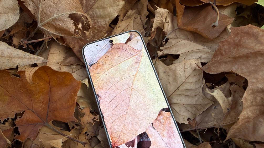 一加15上手体验，你所想知道的看这一篇就够了