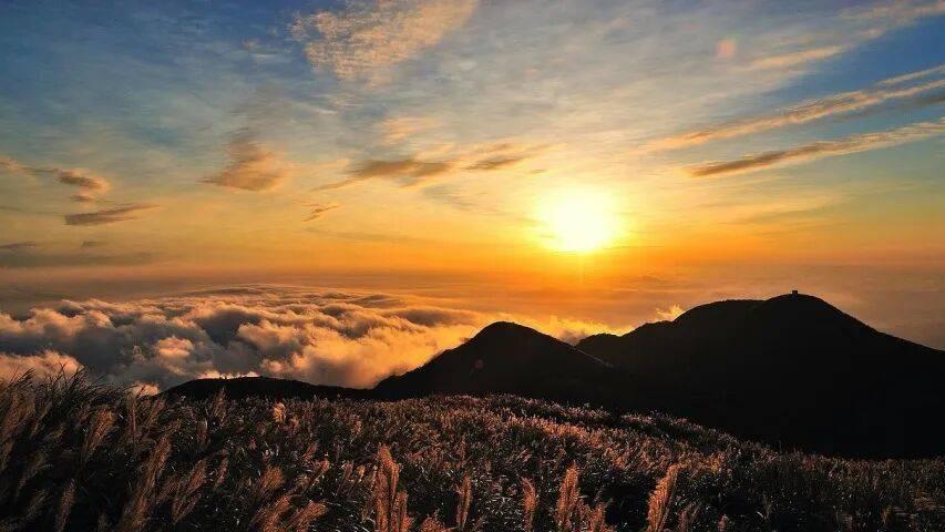 未来5年家电行业确定性机会来了