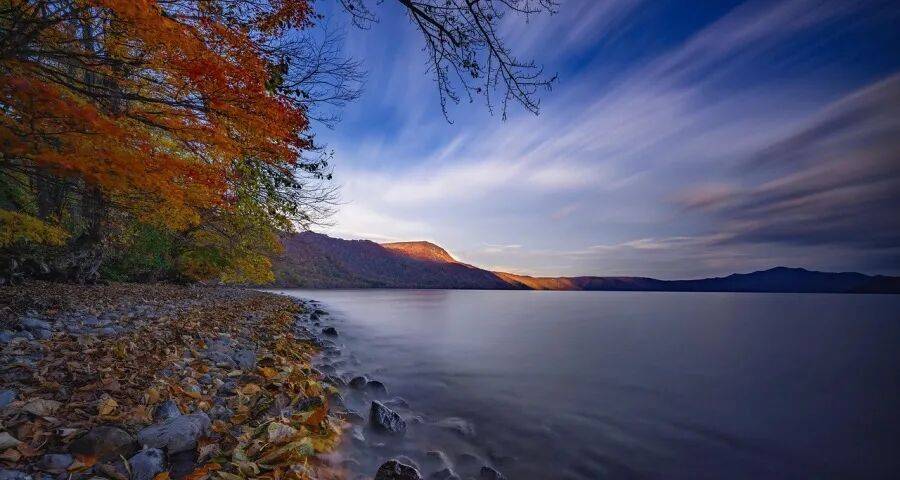 家用空调市场经销商警惕新型“割韭菜”