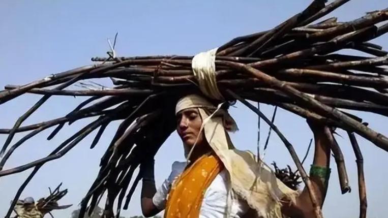 1.3万女性的血泪抉择：当子宫成为职场"入场券"