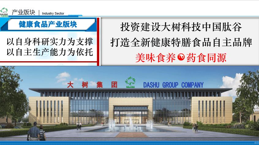大树集团——擘画千亿蓝图，大树集团打造中国健康食品产业新高地