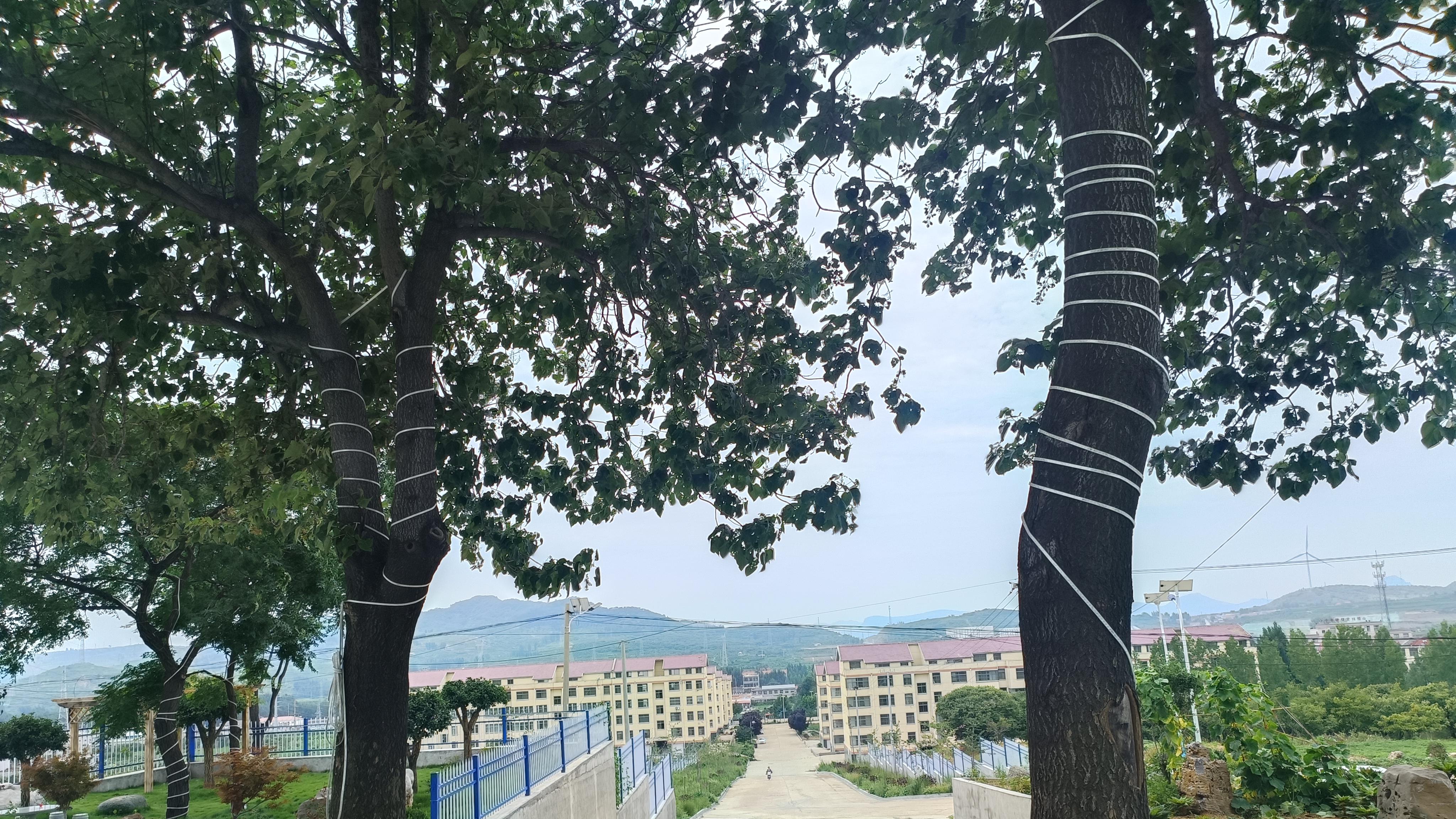 邹平市会仙神灯的传说