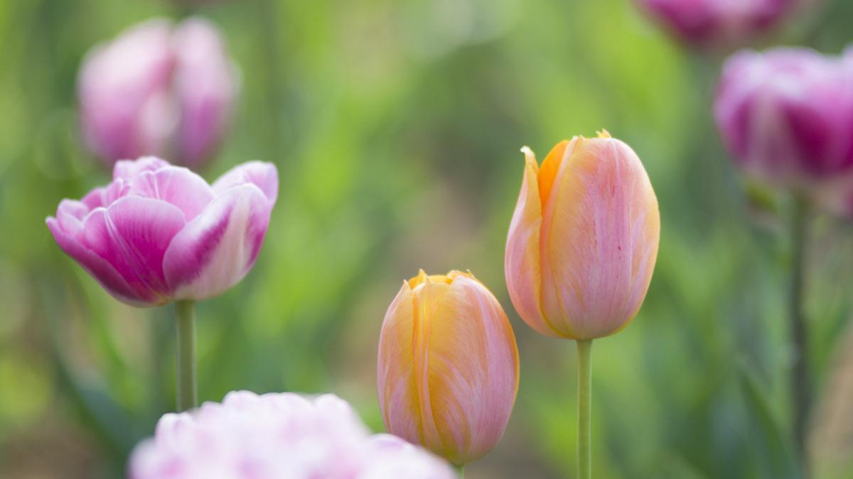 人，可以真，但不能没有防备之心