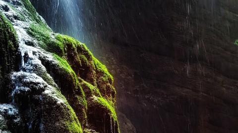 用华为设备拍短片：大学生镜头里的乡村振兴！