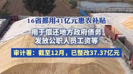 41亿惠农补贴挪用黑洞：16省整改背后的农业资金困局
