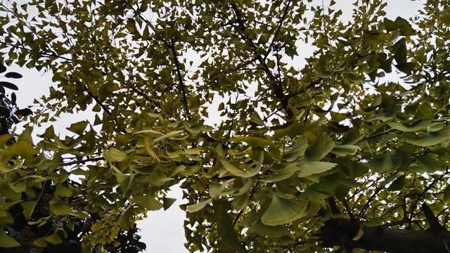 很少批评孩子以鼓励为主，孩子咋还会内耗和厌学？家长做错不自知