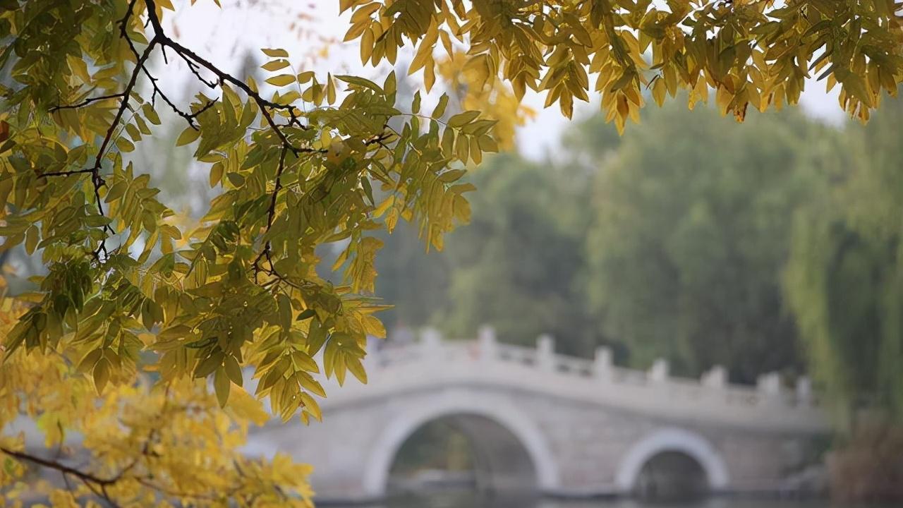 异地恋，熬不住了？