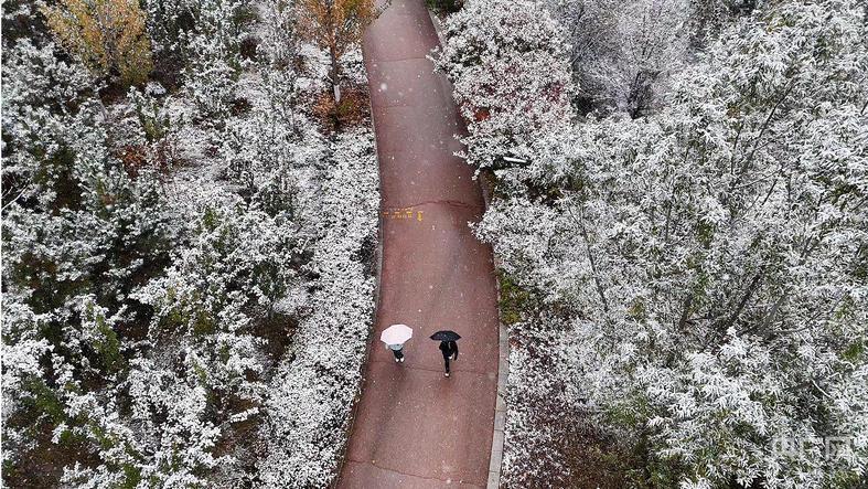 保定涞源县迎2025冬季首场降雪，将于11月1日正式供暖