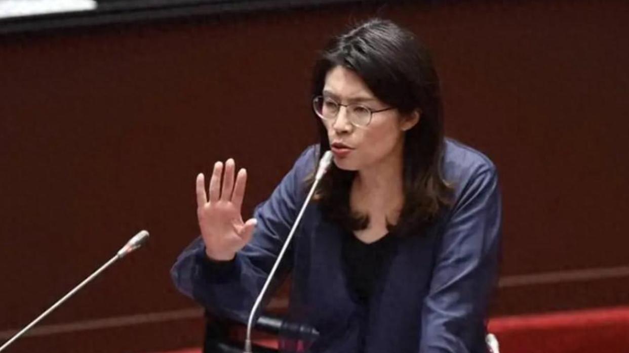 郑丽文最大担忧，等不到台岛下次换届？何鹰鹭直言：她是骗子