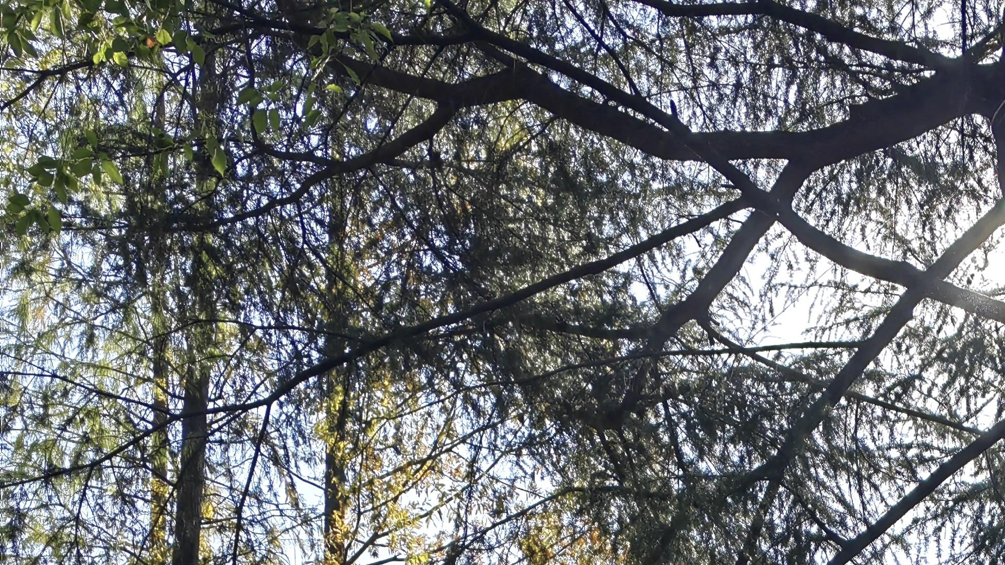 人在职场，留点“无知”的空间