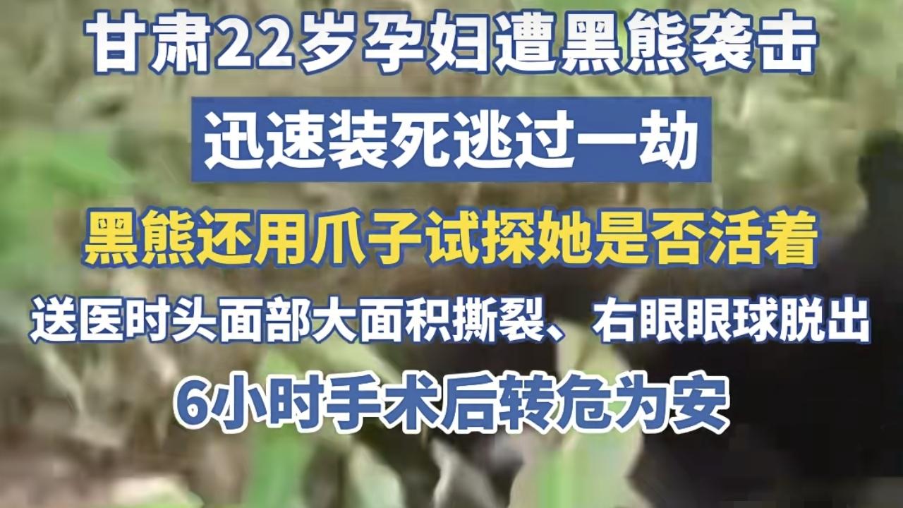 甘肃22岁孕妇遭黑熊袭击，通过装死脱险！为何熊会放过装死的人？