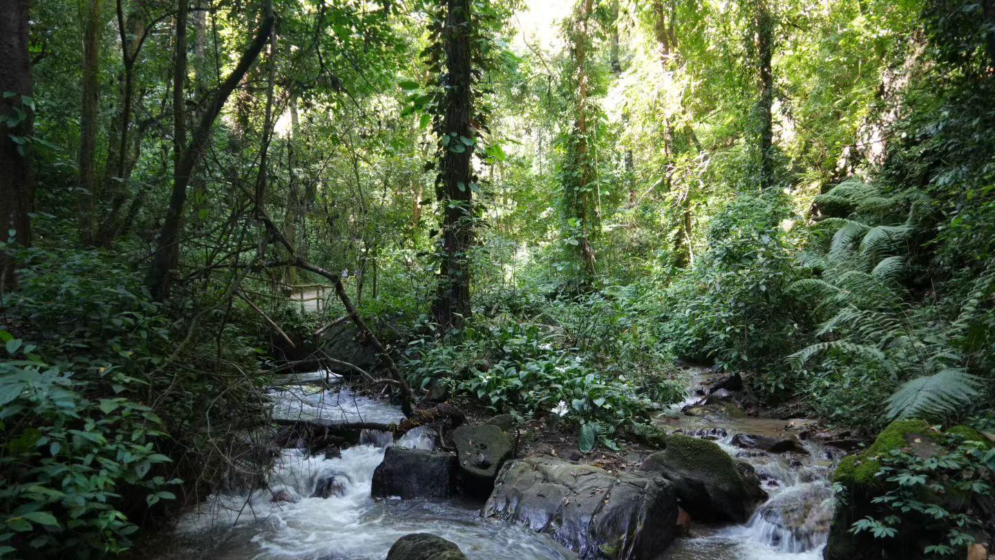 乐山人杨邦杰博士书画近作欣赏——有一个美丽的地方