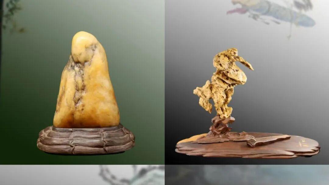 近200件盆景雅石精品荟萃！厦门首届观赏石文化旅游精品展开幕