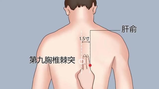 8大养肝穴，你知道几个，每天按一按，肝脏健康不生病