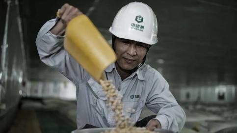 工资96000-144000，央企直签，大专往届可报，七险二金，12%公积