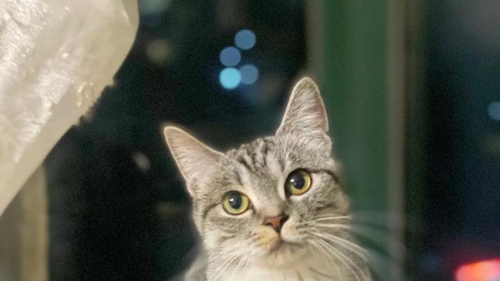 美短！跑酷界新星，深夜跑酷冠军！