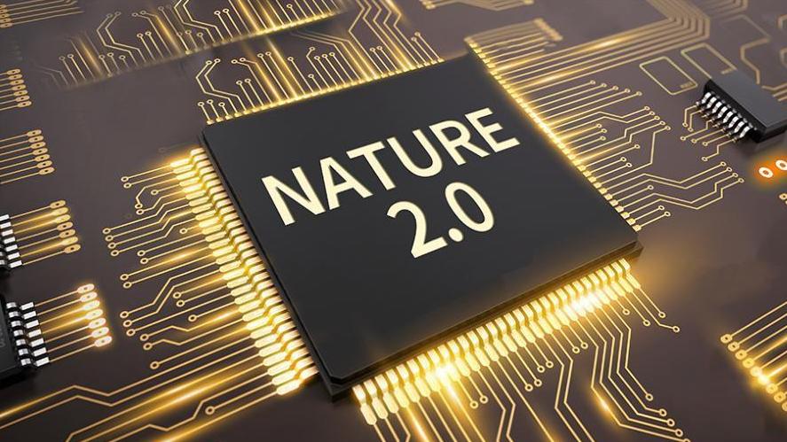 助听器价格一般多少钱一个？必看十大性价比高的品牌推荐！