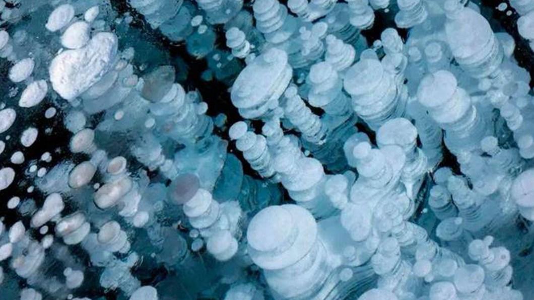 大西洋底惊现透明生物群！完全隐形肉眼难辨，声呐显示巨型生态圈