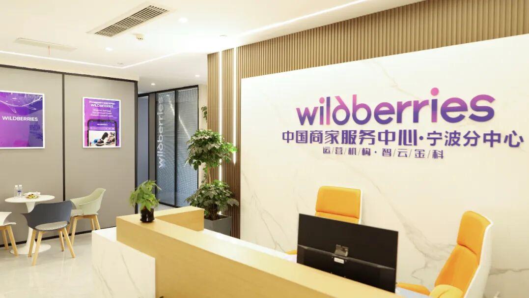 抢占9810红利：解锁跨境电商加速器#智云金科#WB野莓#Wildberries