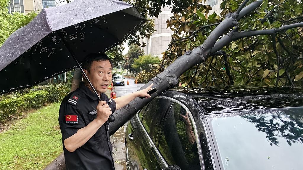 小说《绿化树》情节评述：知识分子的荒原人生