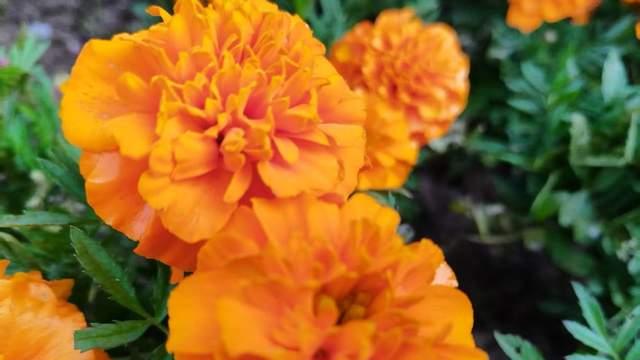 爱控制的父母习惯去改变孩子，却不经意挫伤了孩子信心，会更内耗