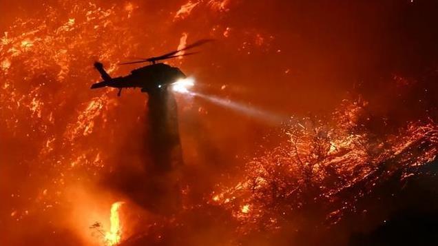 加州大火肆虐，家园尽毁，竟是为保护红腿蛙？