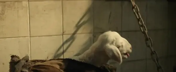 《大风杀》高清电影-完整版在线观看