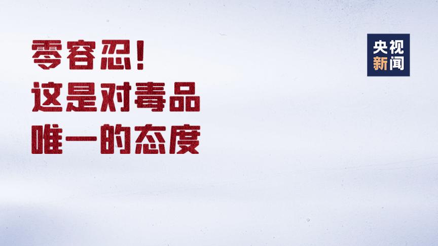连查800多公斤毒品，为何国际贩毒集团如此看好中国市场？
