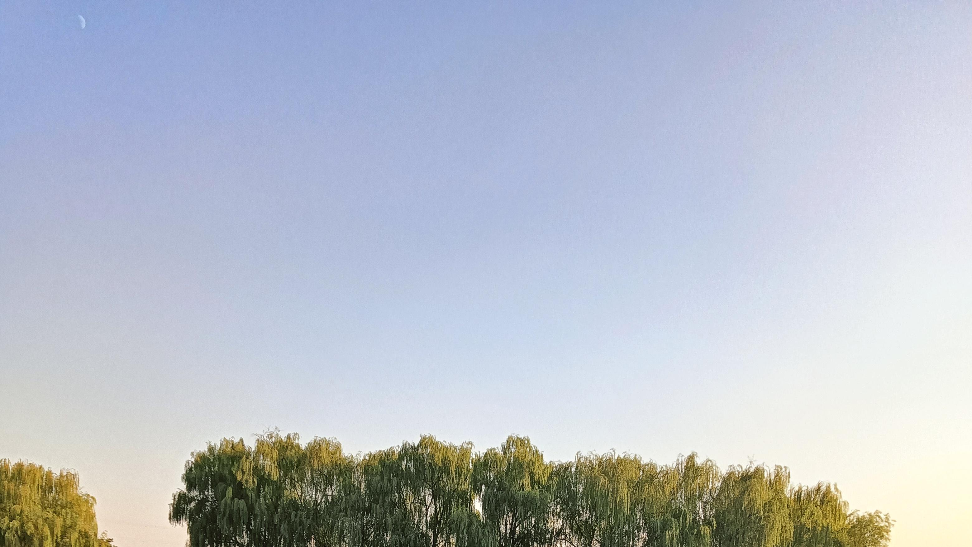 淘宝未成年可以开店吗？淘宝未成年可以开店吗现在