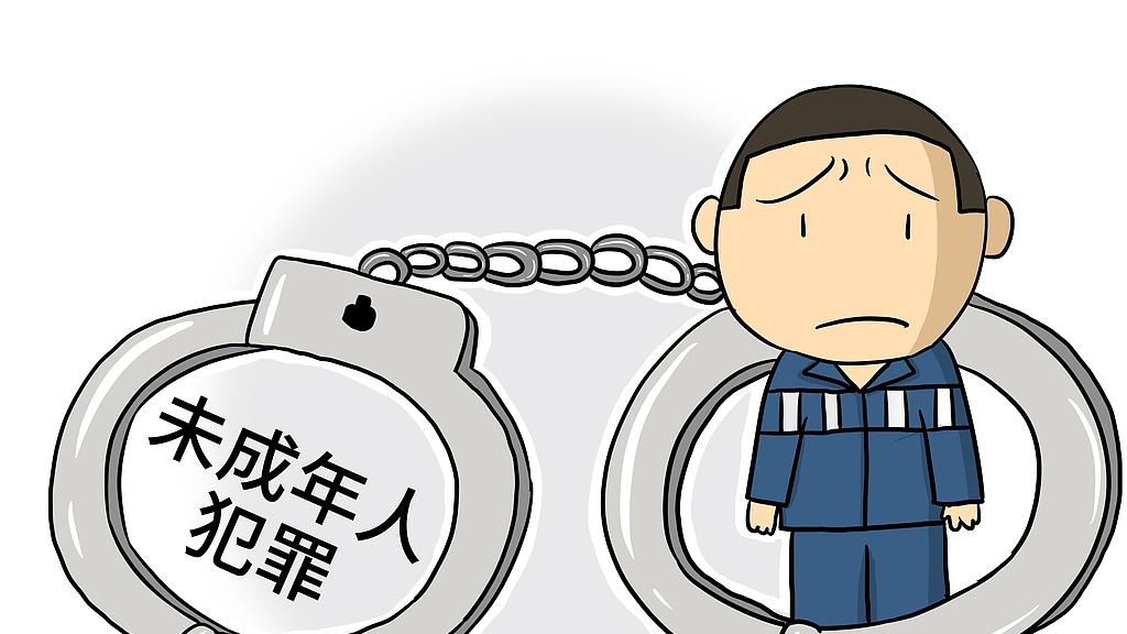 14 岁少年屡教不改终触法网：法律亮剑背后的少年司法困局与破局之路