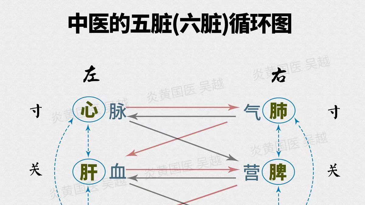 中医教材“中医基础理论”的研读心得：阳虚也会有“火”郁