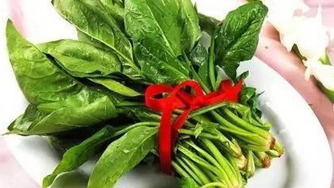 菠菜工厂化育苗，72穴盘移栽效率，预制菜基地，苗龄25天标准