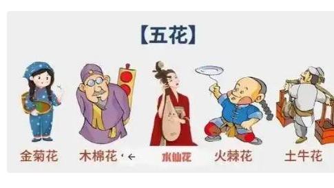 五花八门，是指哪五花？哪八门？