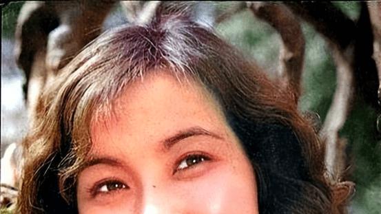 “牧羊女”丁岚：曾自毁前程弃中国国籍，后踏入商界，无儿无女