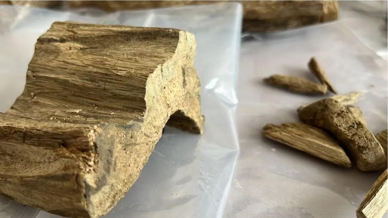 海关律师、走私辩护律师邵丹：昆明查获走私沉香木